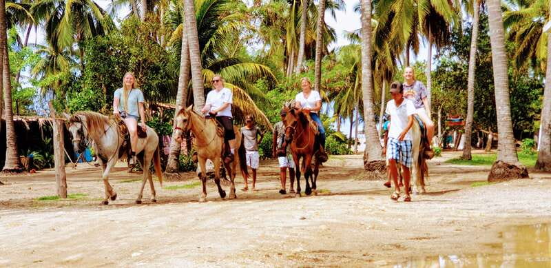 .Beach Horse Riding Turtle Release Crocodile Farm Experience - One Hour on Horseback by the Ocean