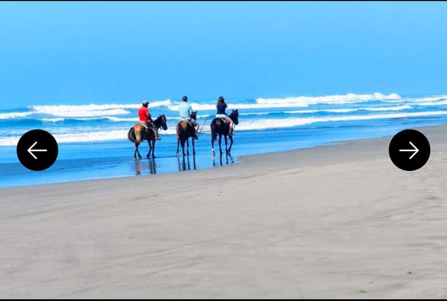 .Beach Horse Riding Turtle Release Crocodile Farm Experience - Photos of the Pacific Without the Resort Crowds