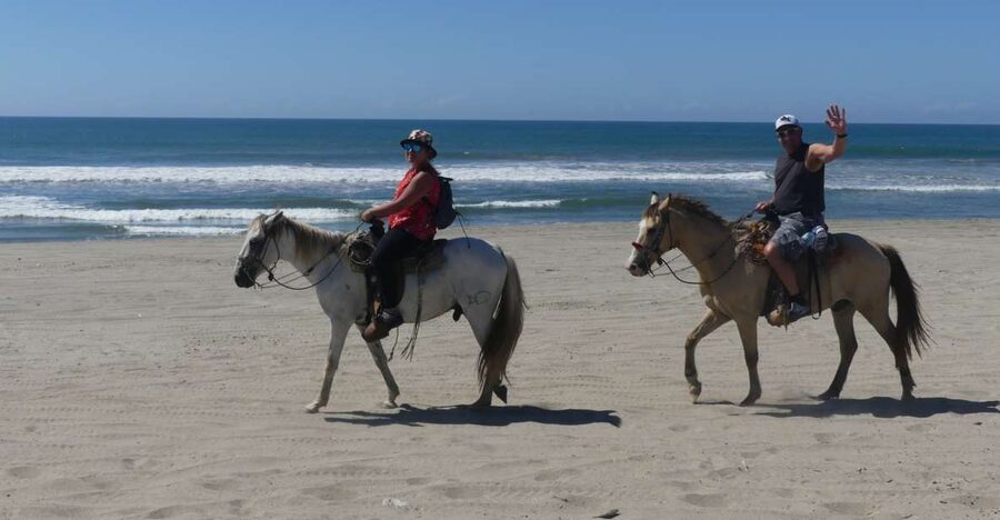 .Beach Horse Riding Turtle Release Crocodile Farm Experience - The Crocodile Farm Visit