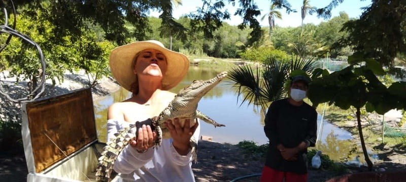 .Beach Horse Riding Turtle Release Crocodile Farm Experience - What $125 Includes, and What It Does Not