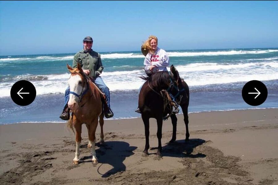 .Beach Horse Riding Turtle Release Crocodile Farm Experience - Who Will Enjoy This Tour Most