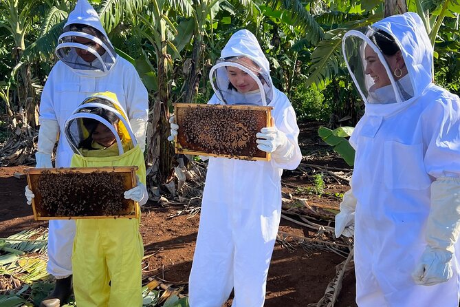 Bee Farm Ecotour and Honey Tasting in Waialua, North Shore Oahu - Walking through banana trees to the hives
