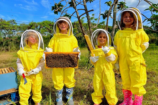 Bee Farm Ecotour and Honey Tasting in Waialua, North Shore Oahu - Holding a live frame of honeycomb