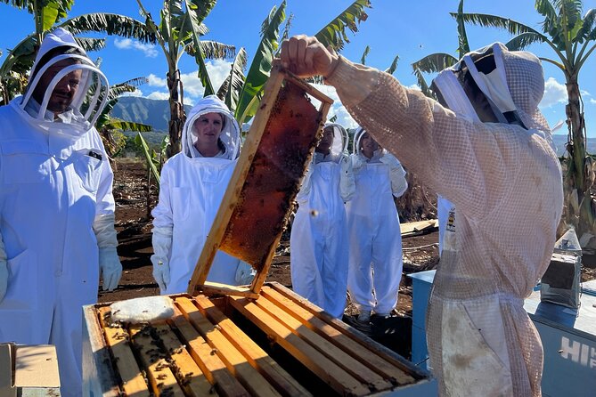 Bee Farm Ecotour and Honey Tasting in Waialua, North Shore Oahu - How the $135 price makes sense