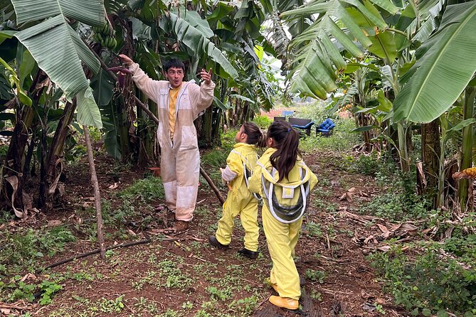 Bee Farm Ecotour and Honey Tasting in Waialua, North Shore Oahu - Learning the basics before meeting the bees