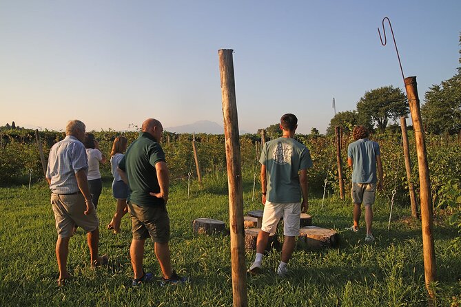 Beekeeping Farm Tour and Tasting Experience in Lazise - Meeting the bees without turning the visit into a lecture