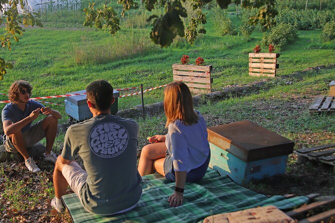 Beekeeping Farm Tour and Tasting Experience in Lazise - A tasting built around three local honeys