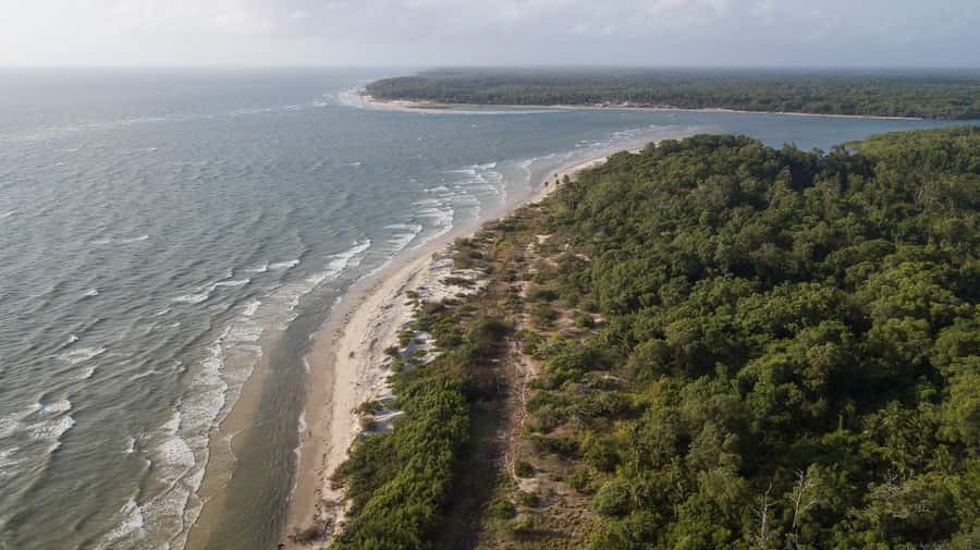 Belém: Marajó Island Day Trip with Buffalo Farm Visit - Souré route: buffalo farming and Pesqueiro Beach