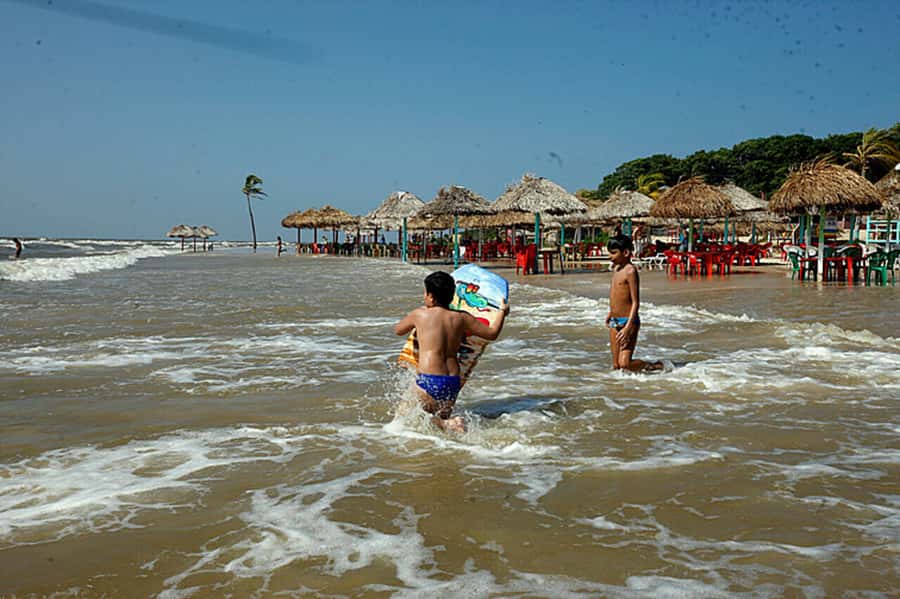 Belém: Marajó Island Day Trip with Buffalo Farm Visit - What the day feels like in practical terms