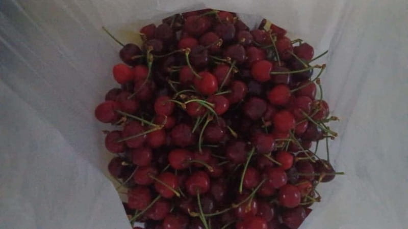 Berat: Farm-to-Table Cooking Class with Local Family - The roses terrace and the view over Berat