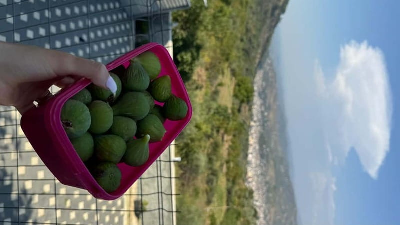 Berat: Farm-to-Table Cooking Class with Local Family - Should you book the Drobonik cooking class?