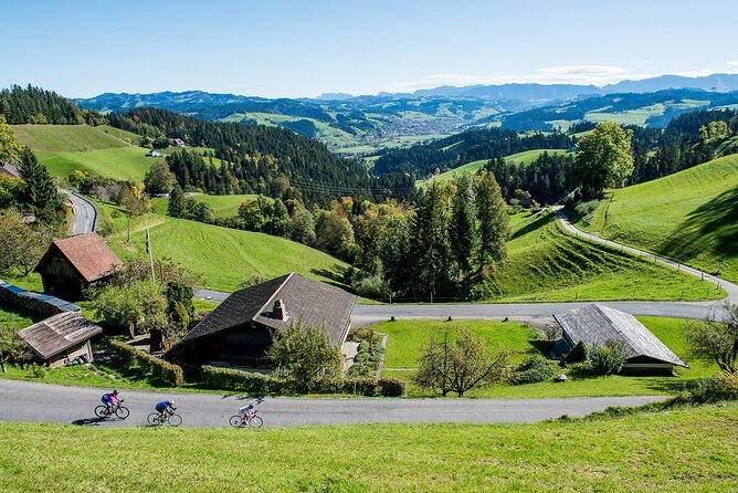 Bern Small-Group Day Trip from Lucerne With Emmental Dairy Visit - What the $245.37 price includes