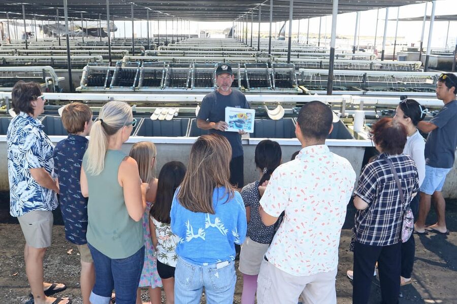 Big Island: Abalone Farm Guided Tour with Tasting - The farm’s story and deep-water research