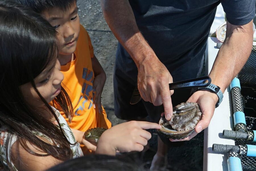 Big Island: Abalone Farm Guided Tour with Tasting - Who will enjoy this Big Island activity