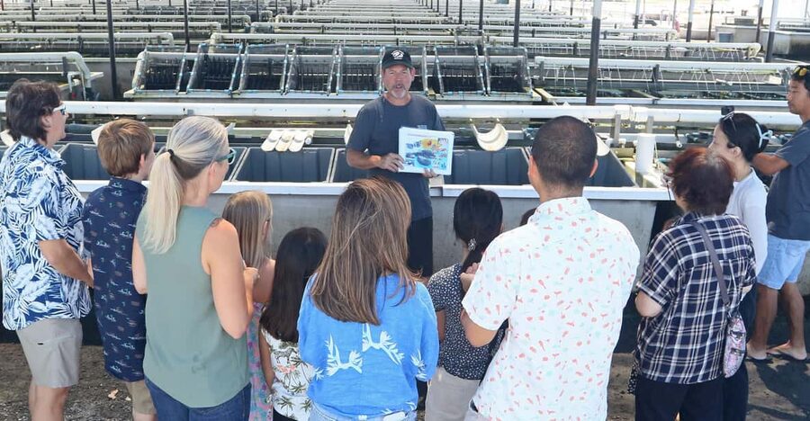 Big Island: Abalone Farm Guided Tour with Tasting - Arriving at 73-357 Makako Bay Drive