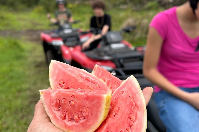 Big Island ATV Tour at Ohana Ranch - Quick Take: What Makes This Big Island ATV Tour Different