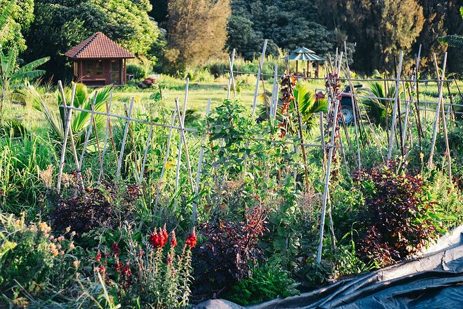 Big Island Farms Tour in Hawaii - Meeting your guide at the Honokaa farm store