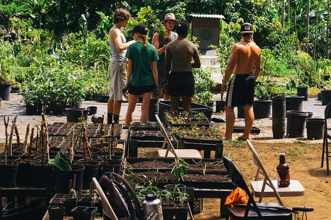 Big Island Farms Tour in Hawaii - What happens during the one-hour tour