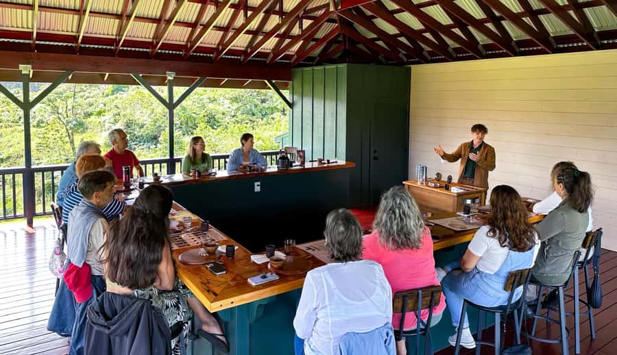 Big Island Hawaii: Craft Chocolate Tasting and Farm Tour - Walking through the cacao orchard