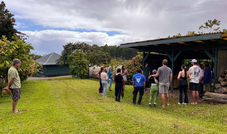 Big Island Hawaii: Craft Chocolate Tasting and Farm Tour - Ten Hawaiian bars, plus several farm treats