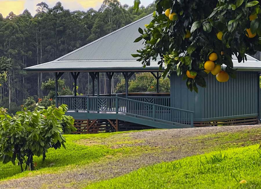 Big Island Hawaii: Craft Chocolate Tasting and Farm Tour - Practical advice before booking