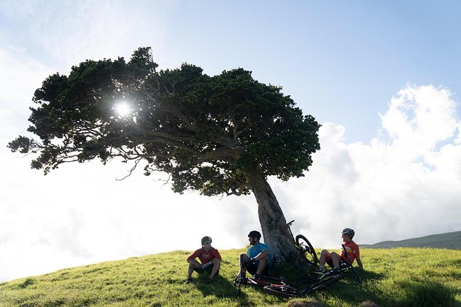 Big Island Mountain Biking on Anna Ranch - What the $235 price really buys