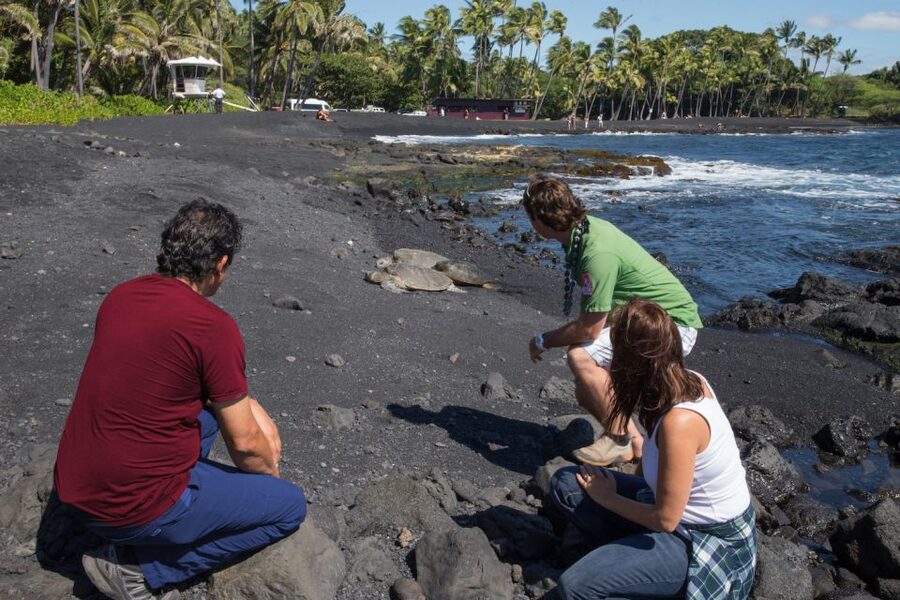 Big Island: Volcanoes, Waterfalls, & Coffee Farm Day-Trip - Punalu’u Bake Shop and the black-sand coast