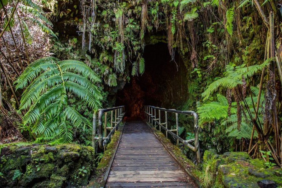 Big Island: Volcanoes, Waterfalls, & Coffee Farm Day-Trip - Waipio Valley and the Hamakua coast