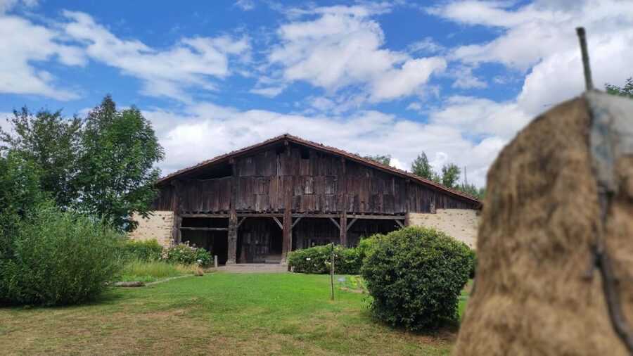 Bilbao: San Sebastian, Getaria, and Basque Farmhouse Tour - Why this day trip works from Bilbao