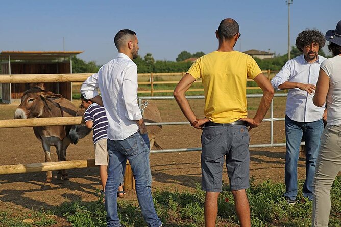 Biodynamic Farm and Natural Wines Tasting in Lazise - Key points to know before you book