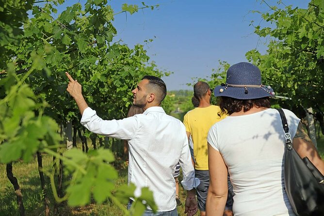 Biodynamic Farm and Natural Wines Tasting in Lazise - A working farm outside Lazise