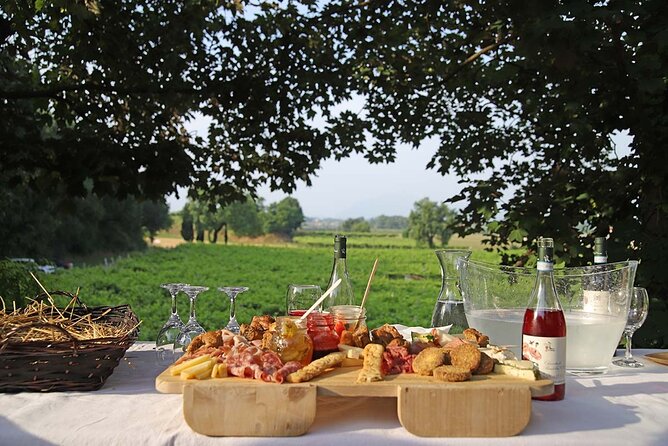 Biodynamic Farm and Natural Wines Tasting in Lazise - Four natural wines on the terrace