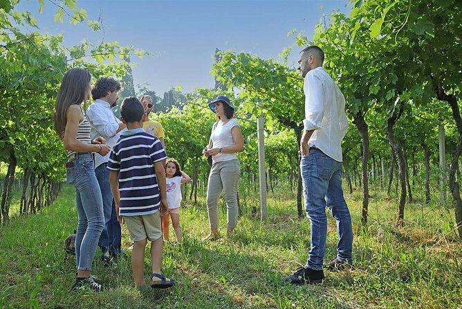 Biodynamic Farm and Natural Wines Tasting in Lazise - Why the small group matters