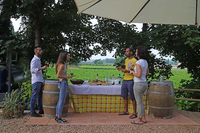 Biodynamic Farm and Natural Wines Tasting in Lazise - Price, timing, and weather concerns