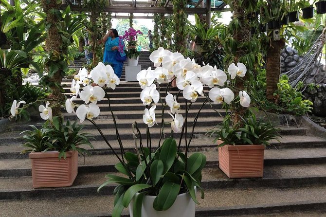 Bird Park & Butterfly Farm Nature Include All Entrance Tour From Kuala Lumpur - Taman Orkid Kuala Lumpur: a quieter floral finish