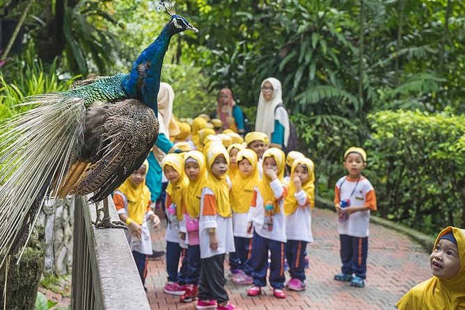 Bird Park & Butterfly Farm Nature Tour From Kuala Lumpur - A short nature break near Kuala Lumpur’s center