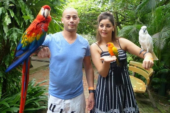 Bird Park & Butterfly Farm Nature Tour From Kuala Lumpur - Timing, pace, and what the $34 covers