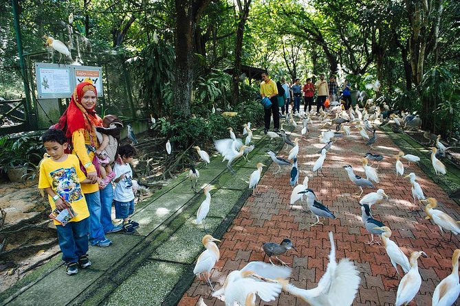 Bird Park & Butterfly Farm Nature Tour From Kuala Lumpur - Should you book this Kuala Lumpur nature tour?