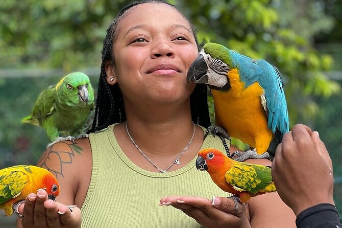 Bird Sanctuary and animal farm Day Tour - Meeting Jamaica’s hummingbirds up close