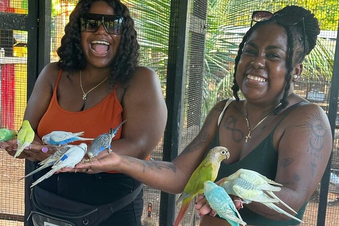 Bird Sanctuary and animal farm Day Tour - The animal farm portion