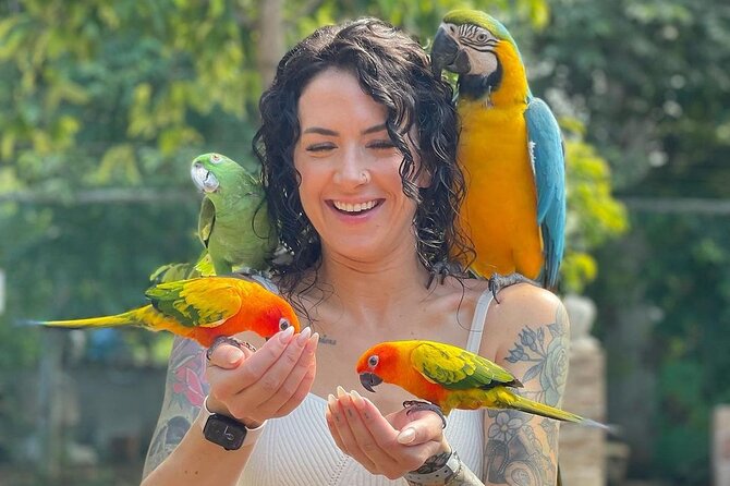 Bird Sanctuary and animal farm Day Tour - Adding Montego Bay’s hip strip