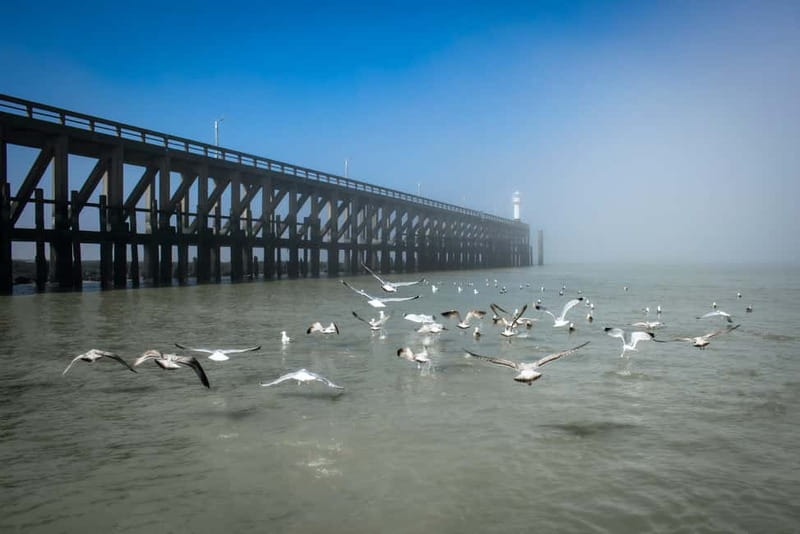 Blankenberge: Offshore Wind Farm Tour by Boat - Is $104 a fair price?