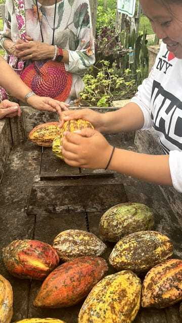Bohol Chocolate Making and Farm Tour - Who will enjoy this Bohol activity most?