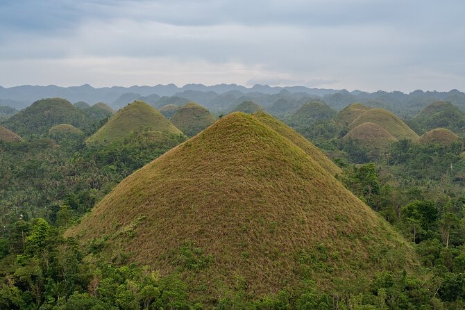 Bohol Chocolate Making and Farm Tour - What happens during the five-hour visit