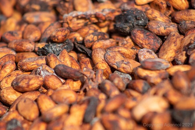 Boti Falls, Umbrella Rock, Aburi Gardens & Cocoa Farm Day Tour - Four things to know before you book