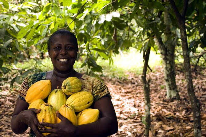 Boti Falls, Umbrella Rock, Aburi Gardens & Cocoa Farm Day Tour - A Ghana day trip with four different moods