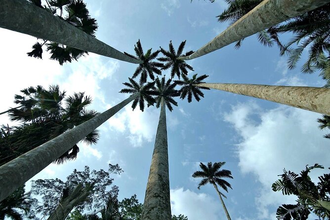 Boti Falls, Umbrella Rock, Aburi Gardens & Cocoa Farm Day Tour - Climbing Umbrella Rock