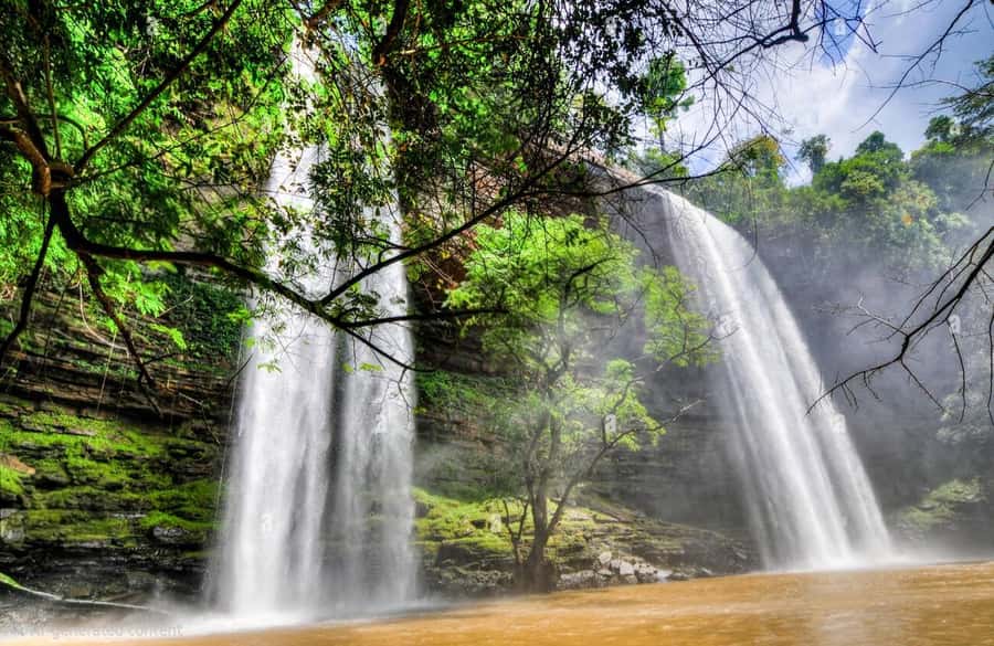 Boti Falls, Umbrella Rock, Aburi Gardens & Cocoa Farm Tour - Boti Falls: the day’s most dramatic stop