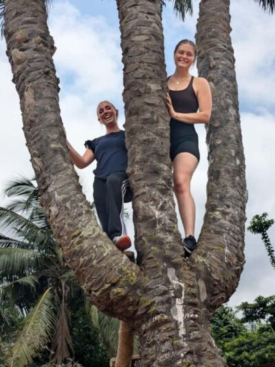 Boti Falls, Umbrella Rock, Aburi Gardens & Cocoa Farm Tour
