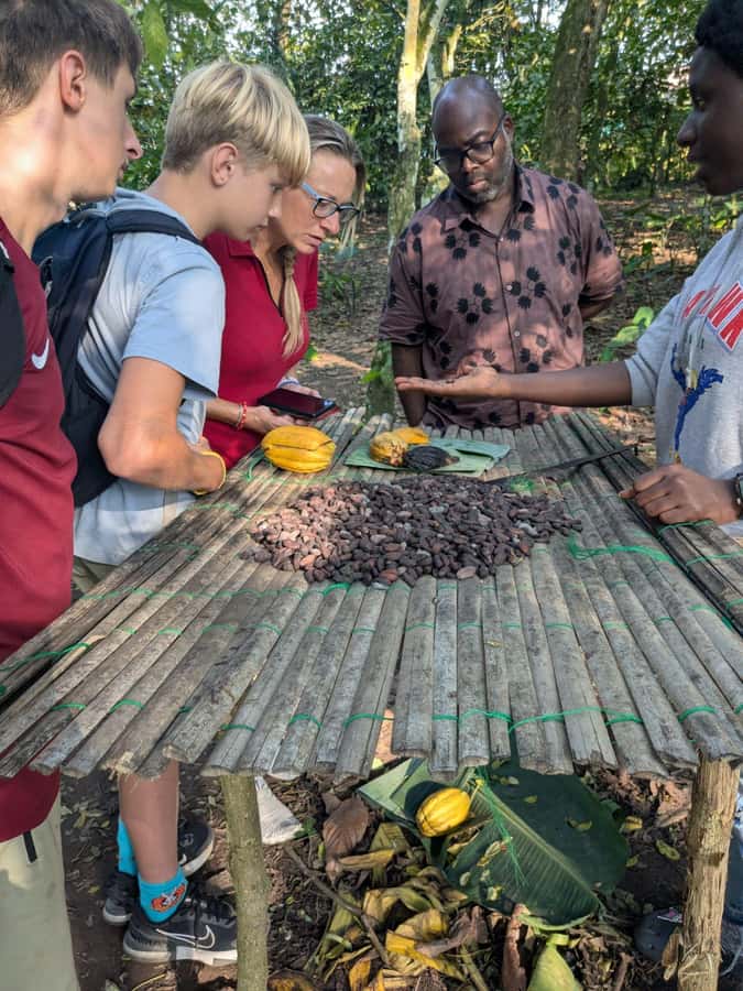Boti Falls, Umbrella Rock, Aburi Gardens & Cocoa Farm Tour - The guide can shape the whole experience